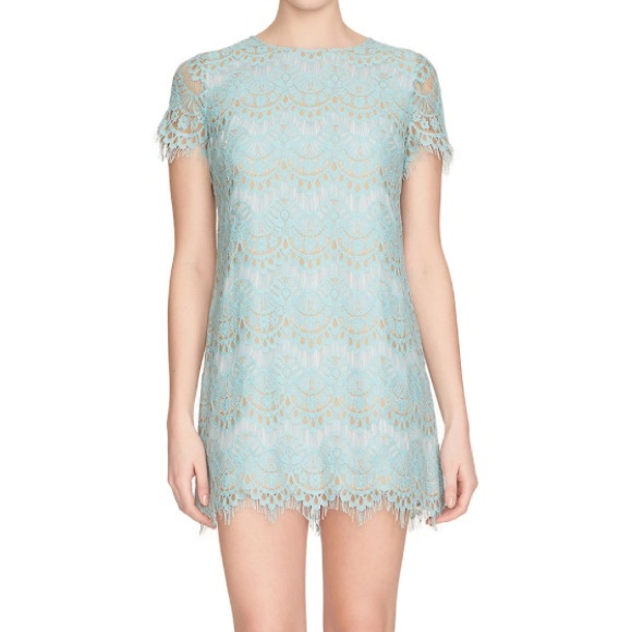 Cynthia Steffe 'Marley' Short-Sleeve Lace Dress